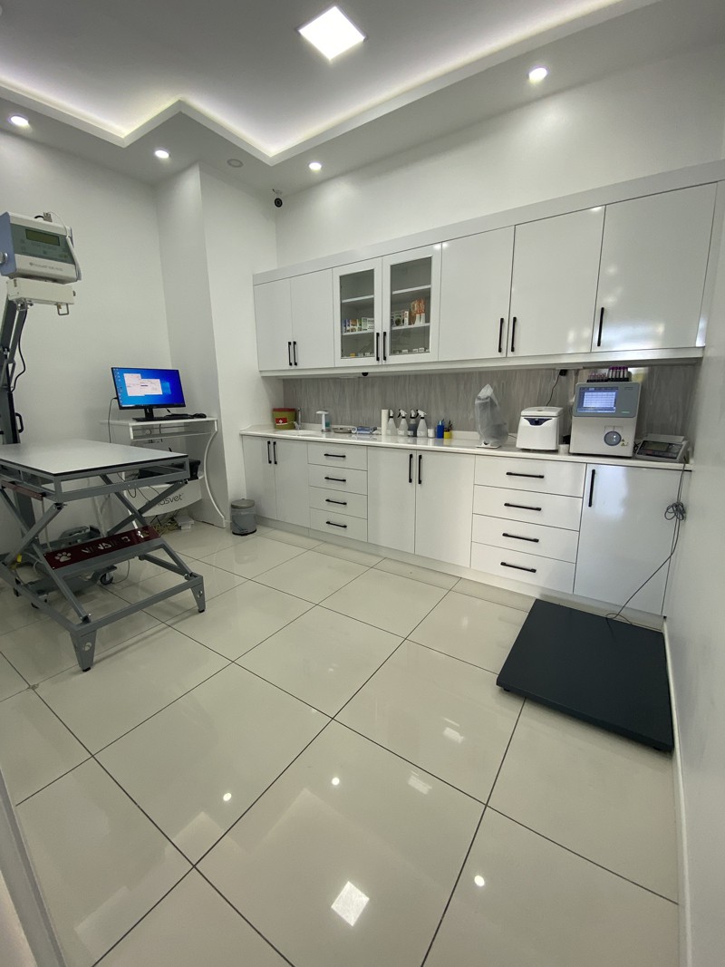 PatiKule Veteriner Kliniği