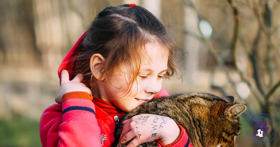 Evcil Hayvan Sahiplenmek İçin Dikkat Edilecekler