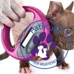 Köpek çip ya da köpek mikroçip - Mikroçip Nedir?