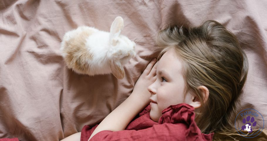 Evde Tavşan Bakımı