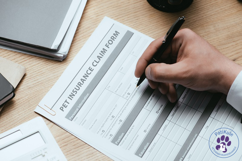 Evcil Hayvan Sağlık Sigortası Nedir?