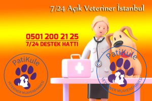 7/24 Açık Veteriner İstanbul