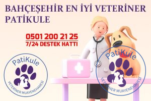 Bahçeşehir En İyi Veteriner PatiKule