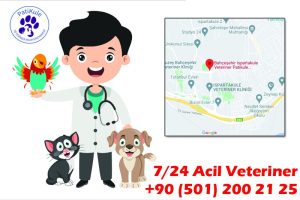 Bahçeşehir Veteriner Kliniği PatiKule