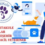 Bahçeşehir Veteriner PatiKule