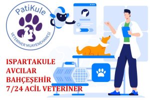 Bahçeşehir Veteriner PatiKule