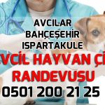 Evcil Hayvan Çip Randevu