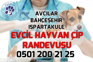 Evcil Hayvan Çip Randevu