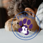 Evcil Hayvanlar ve Çocuklar