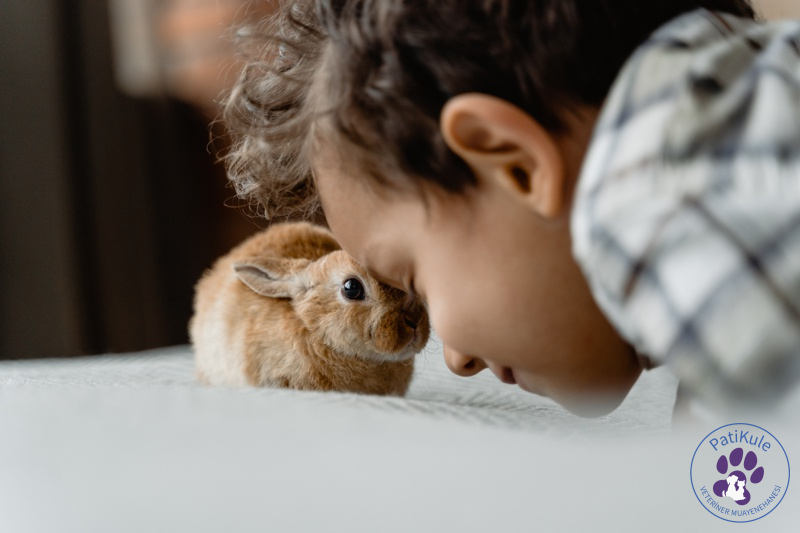 Evcil Hayvanlar ve Çocuklar