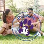 Köpek Sahiplenmeden Önce Bilinmesi Gerekenler