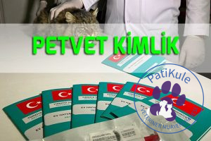 PETVET Kimlik Sistemi