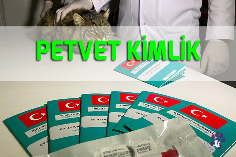 PETVET Kimlik Sistemi