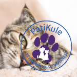 Hasta Kedi Belirtileri