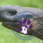 Hayvanlar Aleminde Endemik Türler