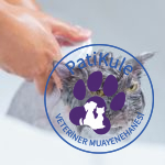 Kediler Yıkanır mı?