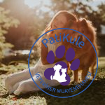 Köpeğinizin Sizi Sevdiğini Nasıl Anlarsınız?