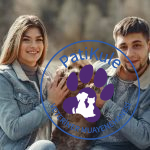 Doğru Köpek Seçimi