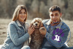 Doğru Köpek Seçimi