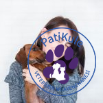 Köpek Sahiplenmeden Önce Onu Tanıyın